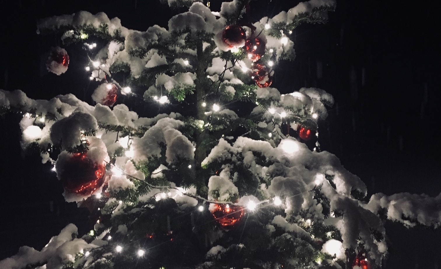 Weinverkauf zu Weihnachten beim Weingut Gründl in der Südsteiermark – festliche Winterstimmung am Weinhof