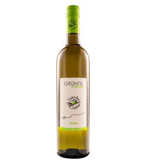 ★ Steirischer Junker 2025 vom Weingut Gründl – frischer Jungwein mit Frucht & Finesse aus der Südsteiermark.