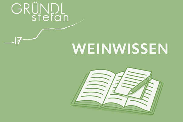 weinwissen, erfahren sie ehrliches wissen zum thema wein, weinkulter, das richtige glas, jahrgangsunterschiede uvm.