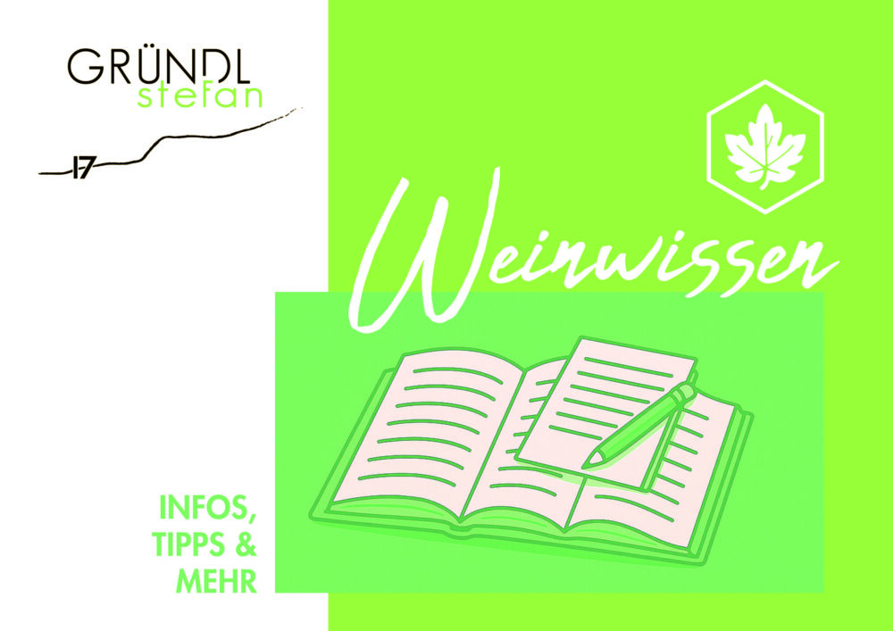 weinwissen, erfahren sie ehrliches wissen zum thema wein, weinkulter, das richtige glas, jahrgangsunterschiede uvm.